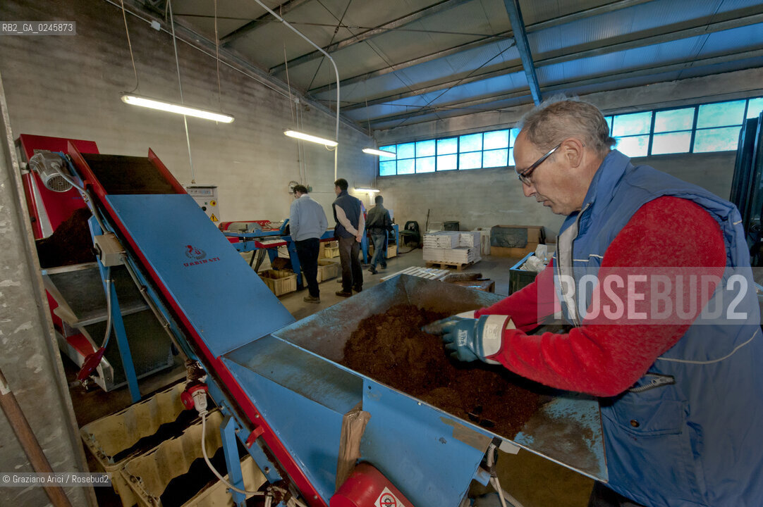 Foiano (Arezzo) 21/3/12 - Preparazione dei plateau con torba e seme impillolato ©Graziano Arici/Rosebud2