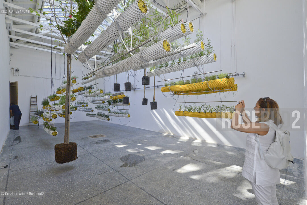 The 13th International Architecture Exhibition . Biennale Architettura 2012 - Biennale Gardens -   Spanish Pavillon - Spain Lab giardini ©Graziano Arici/Rosebud2.