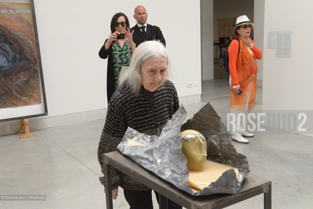 Venice 28 may 2013 - Il Palazzo Enciclopedico 55th Exhibition Biennale Gardens  Golden Lion for Lifetime Achievement  Marisa Merz - artist arte ©Graziano Arici/Rosebud2