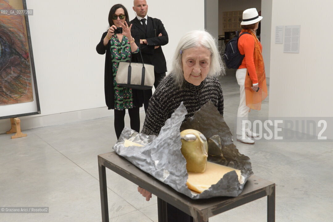 Venice 28 may 2013 - Il Palazzo Enciclopedico 55th Exhibition Biennale Gardens  Golden Lion for Lifetime Achievement  Marisa Merz - artist arte ©Graziano Arici/Rosebud2