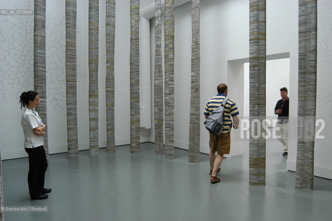 VENEZIA8/06/05 - 51 ESPOSIZIONE INTERNAZIONALE DARTE -  LA SALA  DI JOSè DAMASCENO  ©Graziano Arici/Rosebud2