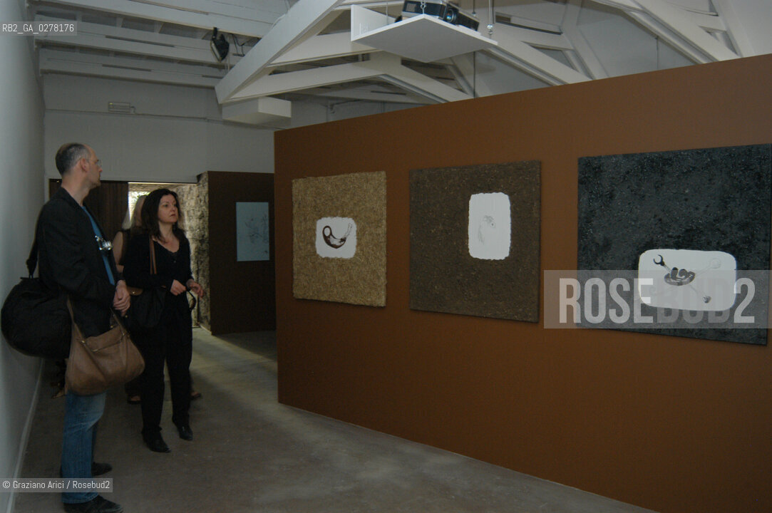 VENEZIA8/06/05 - 51 ESPOSIZIONE INTERNAZIONALE DARTE - IL PADIGLIONE ISLANDESE - THE ICELAND PAVILLION : THE INSTALLATION OF THE ARTIST GABRIELA FRIDRIKSDOTTIR © GRAZIANO ARICI BIENNALE GIARDINI ©Graziano Arici/Rosebud2