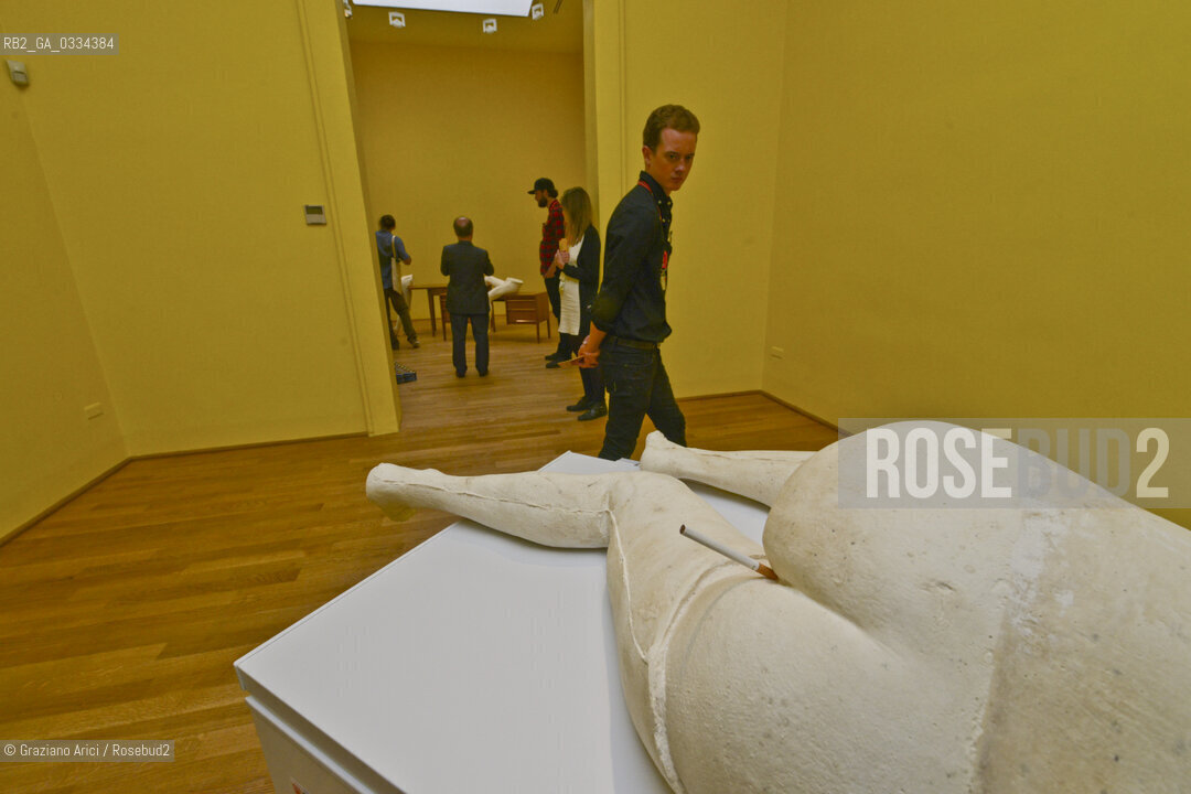 56th International Art Exibition  :  British Pavillon artist Sarah Lucas arte artista ©Graziano Arici/Rosebud2