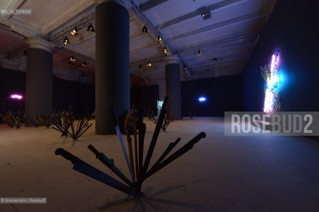 56th International Art Exibition  :   arte artista ©Graziano Arici/Rosebud2