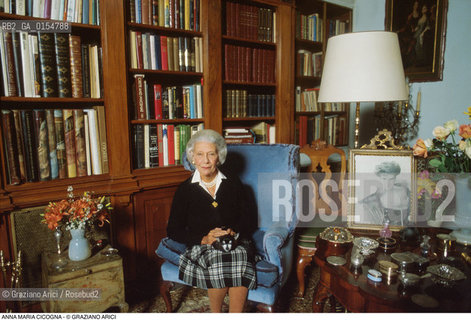 Venezia,1996.Ritratto della contessa AnnaMaria Cicogna in casa sua, ambientalista per la salvaguardia di Venezia. Ambiente Venezia salvaguardia contessa ritratto casa.Venice,1996. Portrait of the countess AnnaMaria Cicogna, enviromentalist and safeguard of Venice, at home ©Graziano Arici/Rosebud2