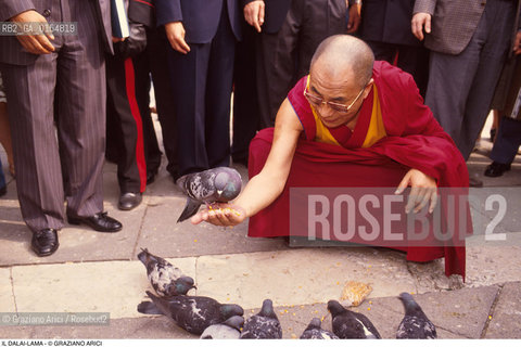 -Venezia,1996. Ritratto del Dalai Lama Tenzin Gyatso a Venezia in Piazza San Marco. Politica religione buddismo capo spirituale leader Tibet ritratto visita piccione uccello colombo.-Venice,1996. Official visit of the Dalai Lama,Tenzin Gyatso,in Venice: the buddhist leader in Saint Marks square with a pigeon.©Graziano Arici/Rosebud2