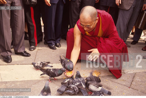-Venezia,1996. Ritratto del Dalai Lama Tenzin Gyatso a Venezia in Piazza San Marco. Politica religione buddismo capo spirituale leader Tibet ritratto visita piccione uccello colombo.-Venice,1996. Official visit of the Dalai Lama,Tenzin Gyatso,in Venice: the buddhist leader in Saint Marks square with a pigeon.©Graziano Arici/Rosebud2
