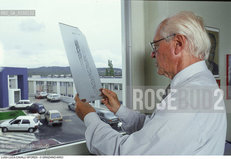 Trieste,1994.Luigi Luca Cavalli-Sforza, genetista e scienziato,professore emerito allUniversità di Stanford,antropologo e accademico dei Lincei.Scienza Genetica antropologia ritratto scienziatom -Trieste,1994.Portrait of Luigi Luca Cavalli-Sforza, population geneticist and professor at Stanford University ©Graziano Arici/Rosebud2