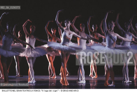 Venice, 1988. Gran Teatro La Fenice.Swan Lake ballet, coreographed by Marius Petipa and Lev Ivanov, music by Pyotr Ilyich Tchaikovsky, corps ballet of the S.M.Kirov theatre Leningrad .Venezia, 1988. Gran Teatro La Fenice. Balletto Il Lago dei Cigni,corpo di ballo teatro S.M.Kirov di Leningrado, coreografia di Marius Petipa e Lev Ivanov, musica di Pyotr Ilyich Tchaikovsky. Danza balletto classica Lago dei cigni Fenice ©Graziano Arici/Rosebud2 La cessione dei diritti di questa immagine si intende per quanto di nostra competenza. Non comprende invece le eventuali spese  relative a diritti che potranno essere richiesti dagli Enti o persone fisiche cui appartengono eventualmente i soggetti  ripresi. Tali costi, ove necessari, e l’espletamento di qualsivoglia pratica di richiesta di concessione del permesso di pubblicazione sono esclusivamente a carico e a cura del soggetto acquirente di questa immagine.