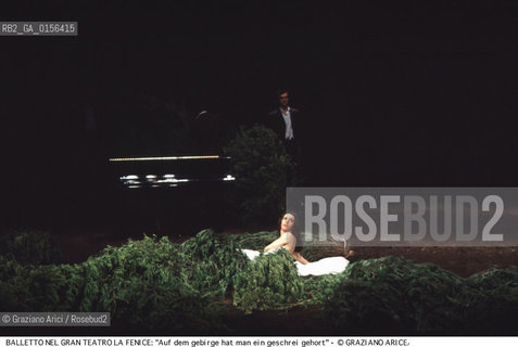 -Venezia,1985.Gran Teatro la Fenice. Balletto AUF DEM GEBIRGE HAT MAN EIN GESCHREI GEHORT (DALLA MONTAGNA SI E SENTITO UN GRIDO),coreografia di Pina Bausch, corpo di ballo Tanztheater Wuppertal.Tanztheater Wuppertal Pina Bausch Danza balletto coreografia .-Venice,1985. Gran Teatro la Fenice. Dance ballet AUF DEM GEBIRGE HAT MAN EIN GESCHREI GEHORT, choreographed by Pina Bausch, Tanztheater Wuppertal dancers chorus ©Graziano Arici/Rosebud2 .La cessione dei diritti di questa immagine si intende per quanto di nostra competenza. Non comprende invece le eventuali spese  relative a diritti che potranno essere richiesti dagli Enti o persone fisiche cui appartengono eventualmente i soggetti  ripresi. Tali costi, ove necessari, e l’espletamento di qualsivoglia pratica di richiesta di concessione del permesso di pubblicazione sono esclusivamente a carico e a cura del soggetto acquirente di questa immagine.