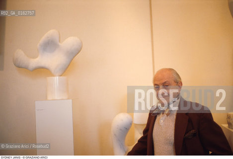 Caption: Nome: .JANIS SYDNEY.Descrizione: .ARTE GALLERISTA / SCULTURA ARP.Credit: ©Graziano Arici/Rosebud2 / Costo: .A.Nazione: .USA.Cittˆ: ..Data: .1981