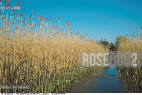 Caption: Nome: .ERNEST HEMINGWAY.Descrizione: .I CASONI NELLA LAGUNA DI CAORLE.Credit: ©Graziano Arici/Rosebud2 .Nazione: ..Cittˆ: ..Data: .1991.