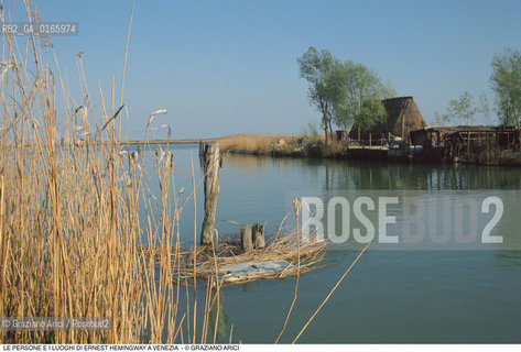 Caption: Nome: .ERNEST HEMINGWAY.Descrizione: .FIORINDO SILOTTO CAPOCACCIA DELLA TENUTA FRANCHETTI TRA LE CANNE E I CASONI A CAORLE FUCILE.Credit: ©Graziano Arici/Rosebud2 .Nazione: ..Cittˆ: ..Data: .1991.