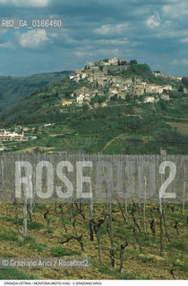 Nome: .REGIONE ISTRIA.Descrizione: .PAESE SULLA COLLINA VITI.Credit: ©Graziano Arici/Rosebud2 / Costo: .A.Nazione: .REPUBBLICA CROATA.Cittˆ: .MONTONA (MOTO VUN).Data: .1992