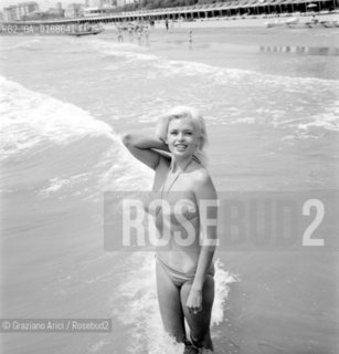 THE ACTRESS JAYNE MANSFIELD  ON VENICE LIDO BEACH AT INTERNATIONAL FILM FESTIVAL - 1963 - © ARCHIVIO Graziano Arici/Rosebud2  / ATTRICE / MOSTRA DEL CINEMA / SPIAGGIA