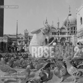 CINEMA / LATTRICE CARROLL BAKER (USA) A VENEZIA / IN PIAZZA SAN MARCO TRA I PICCIONI /1966 - © ARCHIVIO Graziano Arici/Rosebud2 