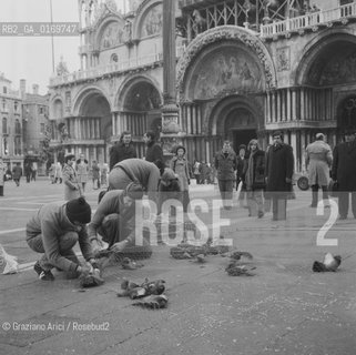 VENEZIA / S.MARCO / CATTURA DEI PICCIONI IN PIAZZA SAN MARCO / COLOMBI / ANNI 70 - © ARCHIVIO Graziano Arici/Rosebud2 