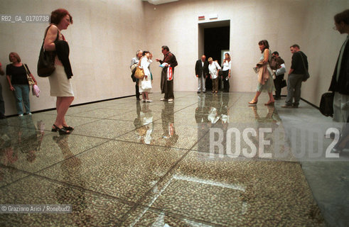 49¡ ESPOSIZIONE INTERNAZIONALE DARTE-  LA BIENNALE DARTE - ITALIAN PAVILLION -WORK  OF THE ARTIST DO-HO SUH  -2001  @ Graziano Arici/Rosebud2 / ARTE / ARTIST