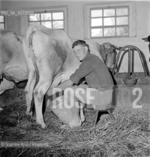 THE CYCLIST GUIDO DE ROSSO AT HIS HOME IN FARRA DI SOLIGO - 1961 - © ARCHIVIO Graziano Arici/Rosebud2  / SPORT / CICLISTA / MUNGERE / MUCCA