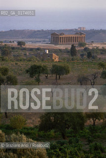 SICILIA  , AGRICOLTURA . : VALLE DEI TEMPLI - TEMPIO DELLA CONCORDIA  - © 2002 Graziano Arici/Rosebud2 / GEO / ARCHITETTURA / DORICO / COLONNE