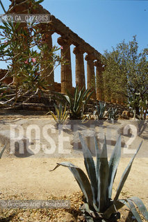 SICILIA  , AGRIGENTO . : TEMPIO DI GIUNONE  - © 2002 Graziano Arici/Rosebud2 / GEO / ARCHITETTURA / DORICO / COLONNE / ARCHEO