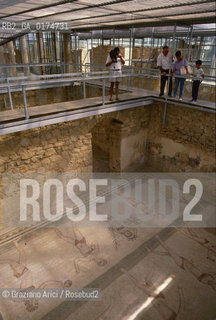 SICILIA  , (ENNA) PIAZZA ARMERINA : VILLA ROMANA DEL CASALE    - © 2002 Graziano Arici/Rosebud2 / GEO / ARCHEO / MOSAICI