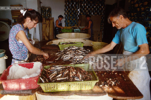 SICILIA  , (AGRIGENTO)  SCIACCA : IL PORTO  - © 2002 Graziano Arici/Rosebud2 / GEO / PESCA