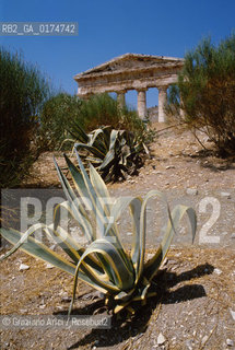 SICILIA  , (TRAPANI)  CALATAFIMI : IL TEMPIO DI SEGESTA   - © 2002 Graziano Arici/Rosebud2 / GEO / ARCHEO / DORICO / ARCHITETTURA