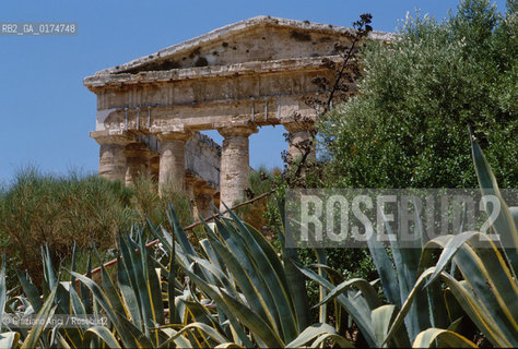 SICILIA  , (TRAPANI)  CALATAFIMI : IL TEMPIO DI SEGESTA   - © 2002 Graziano Arici/Rosebud2 / GEO / ARCHEO / DORICO / ARCHITETTURA