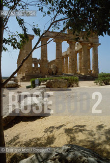 SICILIA  , (TRAPANI)  CASTELVETRANO : IL SITO ARCHEOLOGICO DI SELINUNTE   - © 2002 Graziano Arici/Rosebud2 / GEO / ARCHEO /  ARCHITETTURA / DORICO / COLONNE