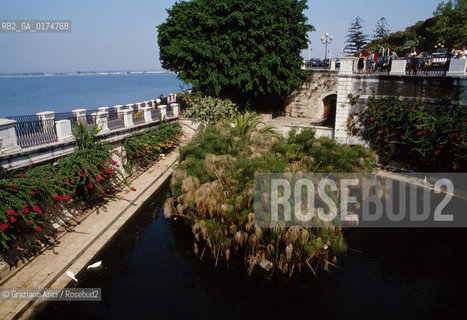 SICILIA  , SIRACUSA :  FONTE ARETUSA  - © 2002 Graziano Arici/Rosebud2 / GEO / ARCHEO / SORGENTE