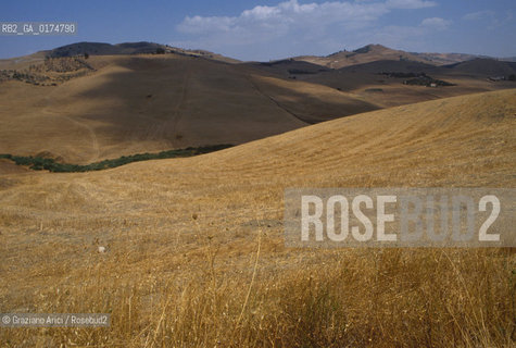 SICILIA  , VAMPAGNA NEI DINTORNI DI ENNA  - © 2002 Graziano Arici/Rosebud2 / GEO