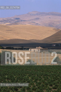 SICILIA  , CAMPAGNA VICINO AD ENNA  - © 2002 Graziano Arici/Rosebud2 / GEO