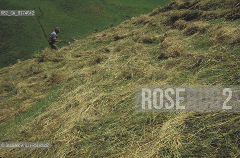 ALTO ADIGE (SUDTIROL), BOLZANO, VAL PASSIRIA  - © 2002 Graziano Arici/Rosebud2 / GEO / CAMPAGNA