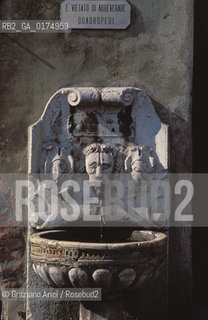 VENETO, ASOLO ( TREVISO) :  FONTANA  © 2002 Graziano Arici/Rosebud2 / GEO / MUCCA / LEONE / CAVALLO