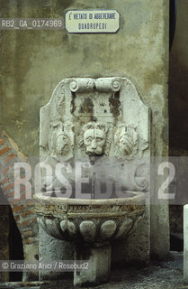 VENETO, ASOLO ( TREVISO) :  FONTANA  © 2002 Graziano Arici/Rosebud2 / GEO / MUCCA / LEONE / CAVALLO