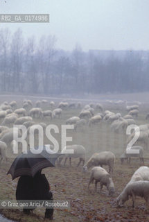 VENETO, CAMPAGNA VENETA -  © 2002 Graziano Arici/Rosebud2 / GEO / PECORE / PASTORE / OMBRELLO