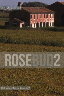 VENETO, CAMPAGNA VENETA -  © 2002 Graziano Arici/Rosebud2 / GEO / CAMPI