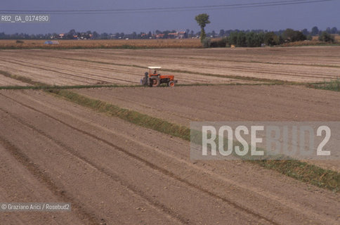VENETO, CAMPAGNA VENETA -  © 2002 Graziano Arici/Rosebud2 / GEO / CAMPI