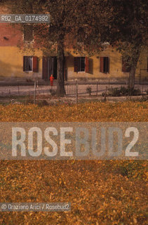 VENETO, CAMPAGNA VENETA -  © 2002 Graziano Arici/Rosebud2 / GEO / CAMPI