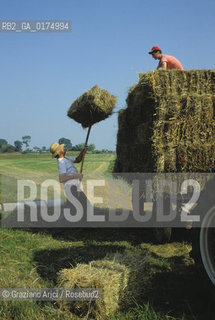VENETO, CAMPAGNA VENETA -  © 2002 Graziano Arici/Rosebud2 / GEO / CAMPI / FIENO