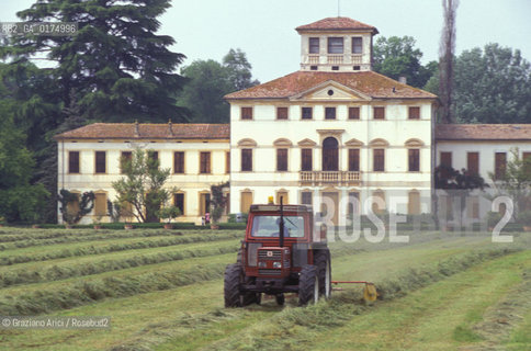 VENETO, CAMPAGNA VENETA -  © 2002 Graziano Arici/Rosebud2 / GEO / CAMPI