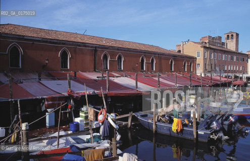 VENETO, CHIOGGIA  (VENEZIA) : MERCATO DEL PESCE  -  © 2002 Graziano Arici/Rosebud2 / GEO