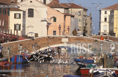 VENETO, CHIOGGIA  (VENEZIA) : CANALE DELLA VENA  -  © 2002 Graziano Arici/Rosebud2 / GEO