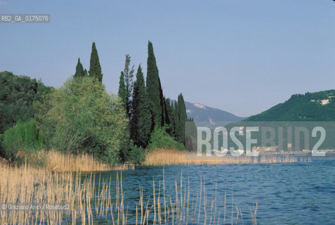 VENETO, LAGO DI GARDA (VERONA)  -  © 2002 Graziano Arici/Rosebud2 / GEO /