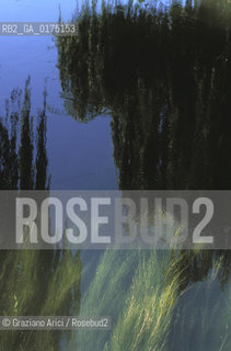 VENETO, IL FIUME SILE   (VENEZIA)  -  © 2002 Graziano Arici/Rosebud2 / GEO