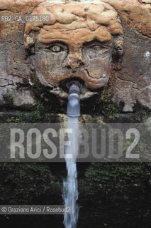 VENETO,VERONA :FONTANA  -  © 2002 Graziano Arici/Rosebud2 / GEO / MASCHERONE