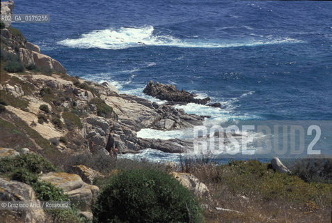 SARDEGNA, S.TERESA DI GALLURA (SASSARI):   ©Graziano Arici/Rosebud2 / GEO / MARE / SCOGLI