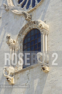 PUGLIA  ,  ( BARI)   ANDRIA  : TRANI - LA CATTEDRALE - © 2002 Graziano Arici/Rosebud2 / GEO / ARCHITETTURA /ROMANICO / FINESTRA