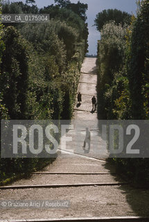 TOSCANA , FIRENZE : PALAZZO PITTI E GIARDINO DI BOBOLI   - © 2002 Graziano Arici/Rosebud2 / GEO /